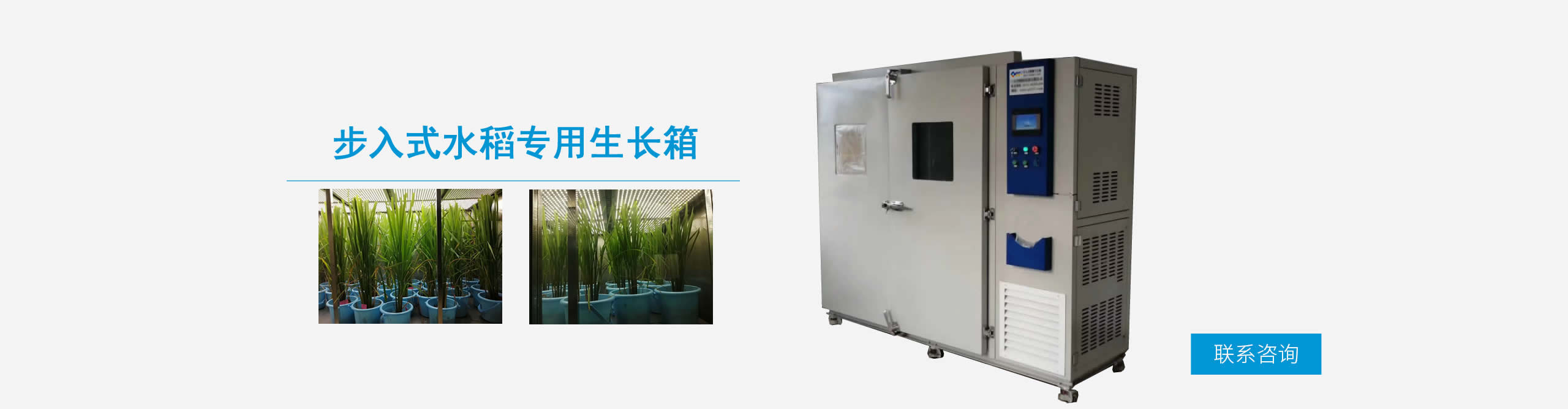 步入式水稻專用生長箱